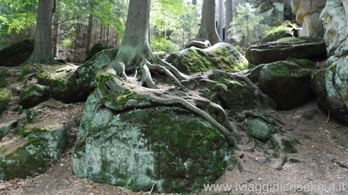 parco_nazionale
